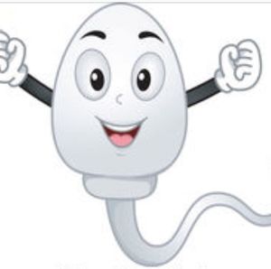 Meet your Posher, Gee